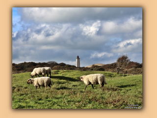 Bei Rubjerg Knude (1).jpg